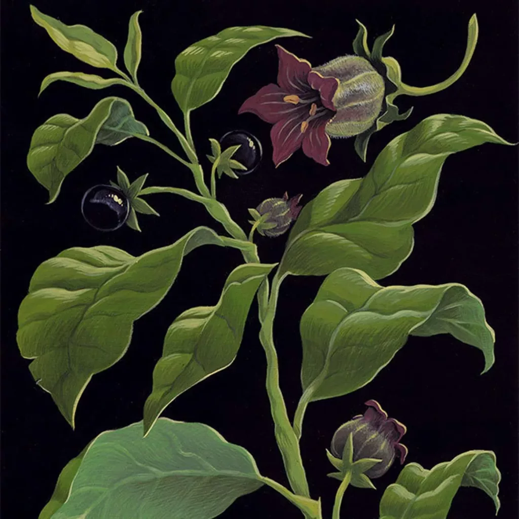 Inspiration - Caroline Groves