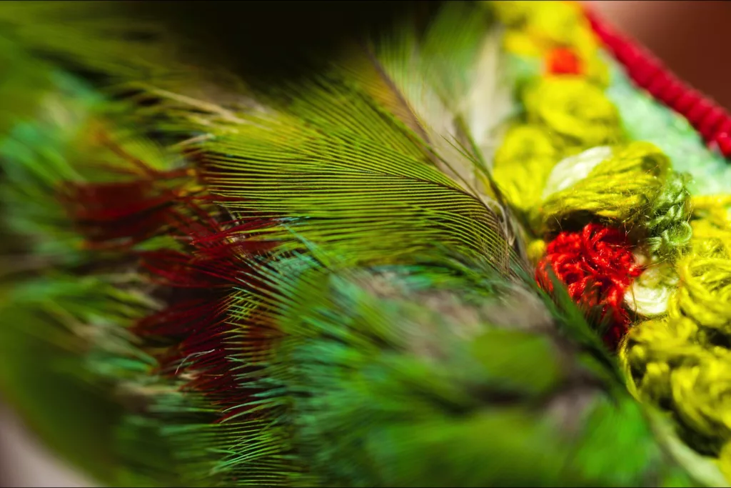 Close-up of vibrant and colorful feathers and yarn. The feathers have a mix of green, red, and blue hues with fine, intricate details. The bespoke yarn is woven together in shades of green and red, creating a handcrafted, textured, and visually striking pattern.